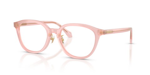 Opal Pink - 0VE3379D 8056262448038