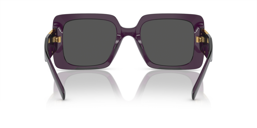 Transparent Purple - 0VE4405 8056597952897