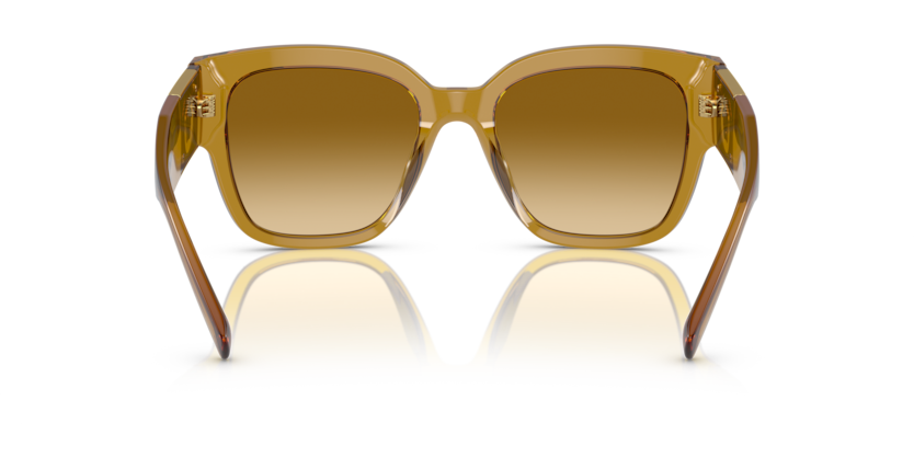 Transparent Honey - 0VE4437U 8056597708319