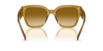 Transparent Honey - 0VE4437U 8056597708319