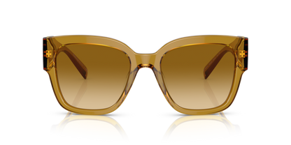 Transparent Honey - 0VE4437U 8056597708319