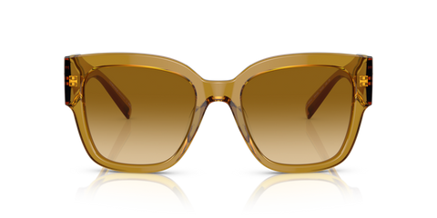 Transparent Honey - 0VE4437U 8056597708319