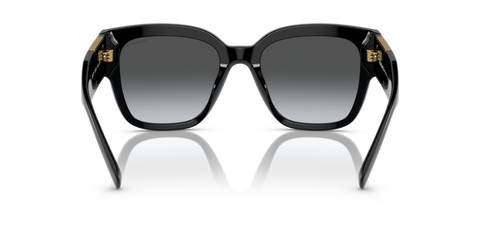 Black - 0VE4437U 8056597708296