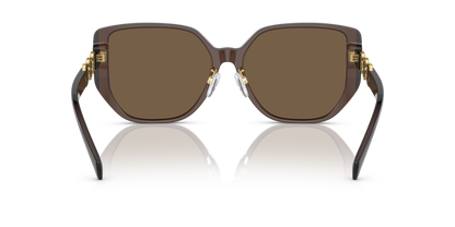 Transparent Brown - 0VE4449D 8056597853125