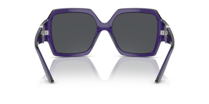 Transparent Purple - 0VE4453 - 8056597894838