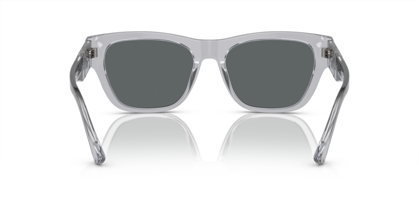 Grey Transparent - 0VE4457 8056597922210