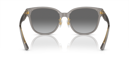 Opal Grey - 0VE4460D 8056597933865