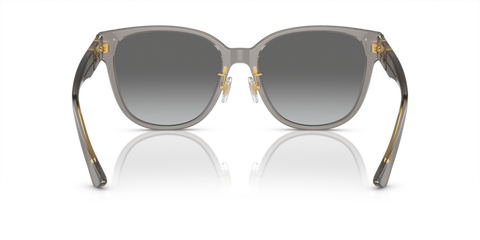 Opal Grey - 0VE4460D 8056597933865