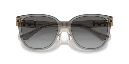 Opal Grey - 0VE4460D 8056597933865