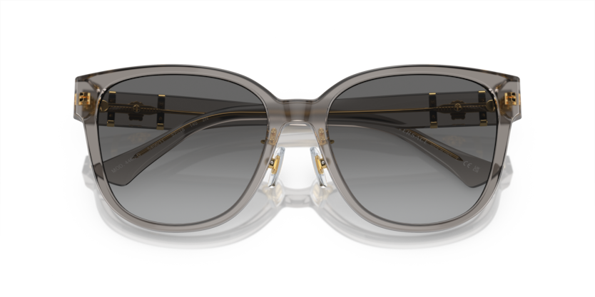 Opal Grey - 0VE4460D 8056597933865