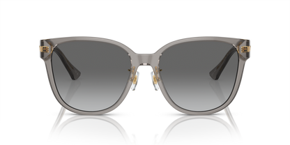 Opal Grey - 0VE4460D 8056597933865