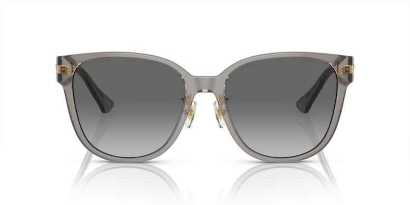 Opal Grey - 0VE4460D 8056597933865