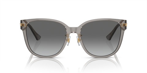 Opal Grey - 0VE4460D 8056597933865