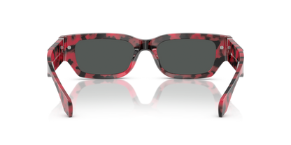 Top Black/Red Havana - 0VE4465 8056262013991