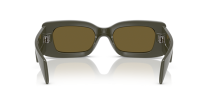 Dark Olive - 0VE4474U 8056262165287