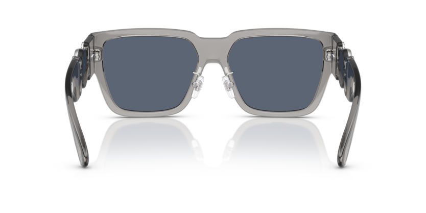 Grey Transparent - 0VE4483D 8056262244104