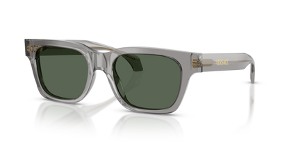 Transparent Grey - 0VE4486 8056262415122