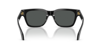 Black - 0VE4486 8056262415108