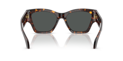 Dark Havana - 0VE4492U 8056262421734