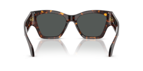 Dark Havana - 0VE4492U 8056262421734