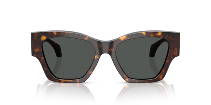 Dark Havana - 0VE4492U 8056262421734