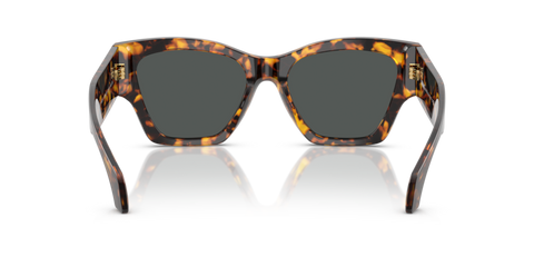 Havana Tortoise - 0VE4492U 8056262421765