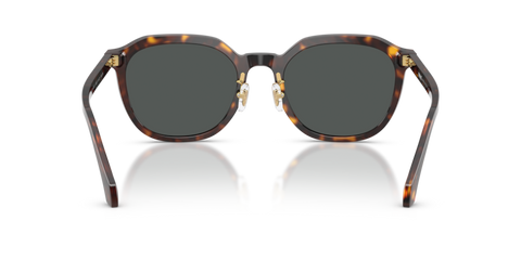 Dark Havana - 0VE4493D 8056262448304