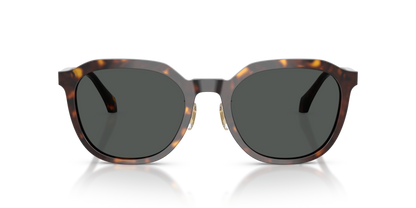 Dark Havana - 0VE4493D 8056262448304