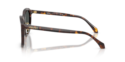 Dark Havana - 0VE4493D 8056262448304