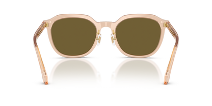 Transparent Light Brown - 0VE4493D 8056262448311