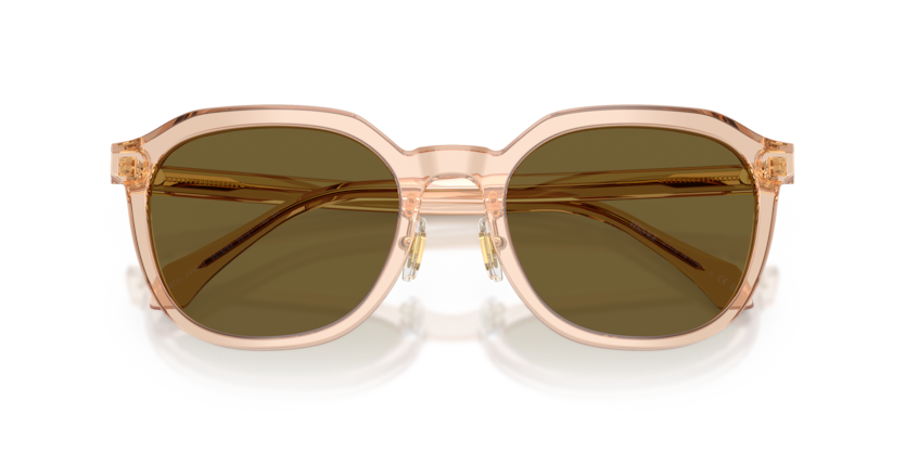 Transparent Light Brown - 0VE4493D 8056262448311