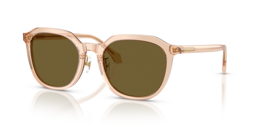 Transparent Light Brown - 0VE4493D 8056262448311