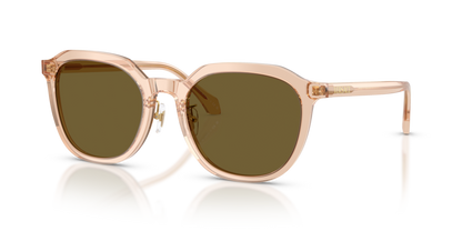Transparent Light Brown - 0VE4493D 8056262448311
