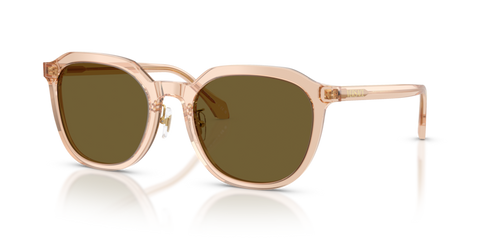Transparent Light Brown - 0VE4493D 8056262448311