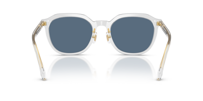 Transparent Grey - 0VE4493D 8056262448328