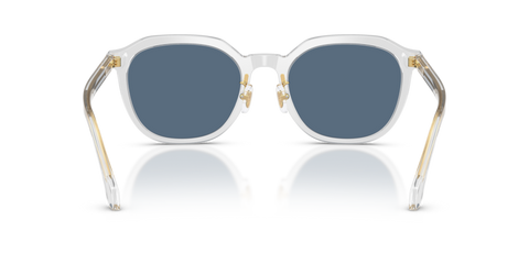 Transparent Grey - 0VE4493D 8056262448328