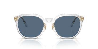 Transparent Grey - 0VE4493D 8056262448328