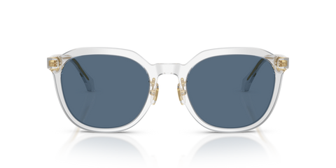 Transparent Grey - 0VE4493D 8056262448328