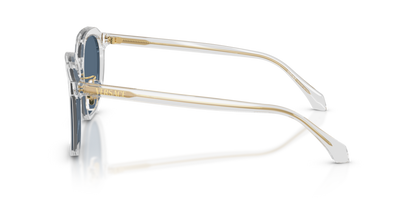 Transparent Grey - 0VE4493D 8056262448328