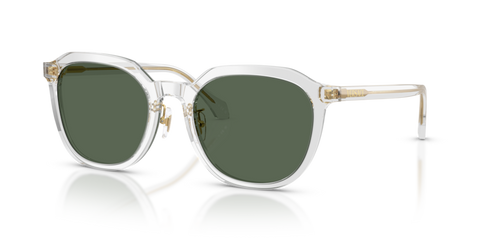 Transparent Grey - 0VE4493D 8056262448328
