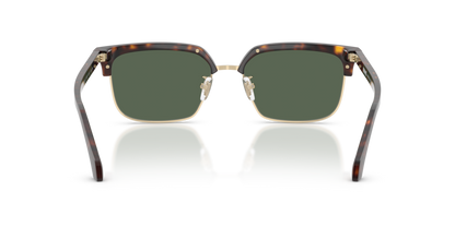 Dark Havana - 0VE4494D 8056262448472