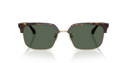 Dark Havana - 0VE4494D 8056262448472