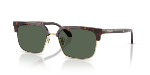 Dark Havana - 0VE4494D 8056262448472