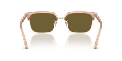 Transparent Brown - 0VE4494D 8056262448496