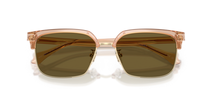 Transparent Brown - 0VE4494D 8056262448496