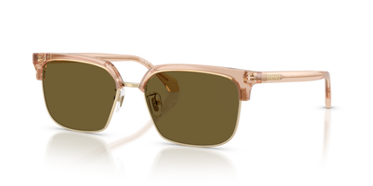 Transparent Brown - 0VE4494D 8056262448496