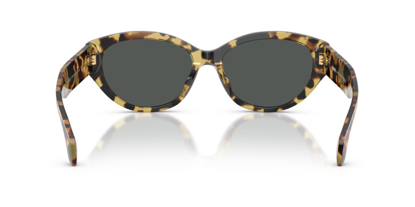 Brown Yellow Havana - 0VE4495D 8056262448434