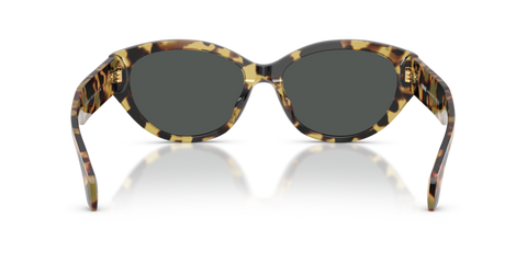 Brown Yellow Havana - 0VE4495D 8056262448434