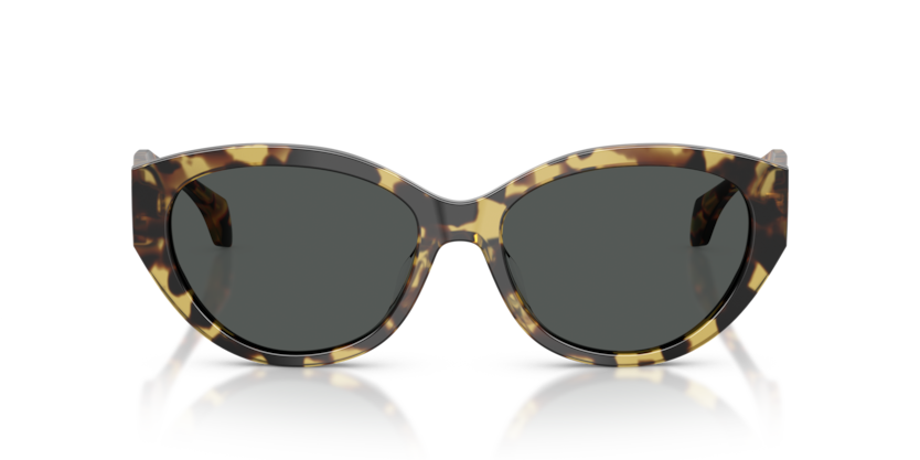 Brown Yellow Havana - 0VE4495D 8056262448434