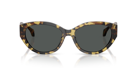 Brown Yellow Havana - 0VE4495D 8056262448434